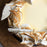 Lemon Meringue Cake