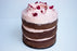 Dark Chocolate Cake